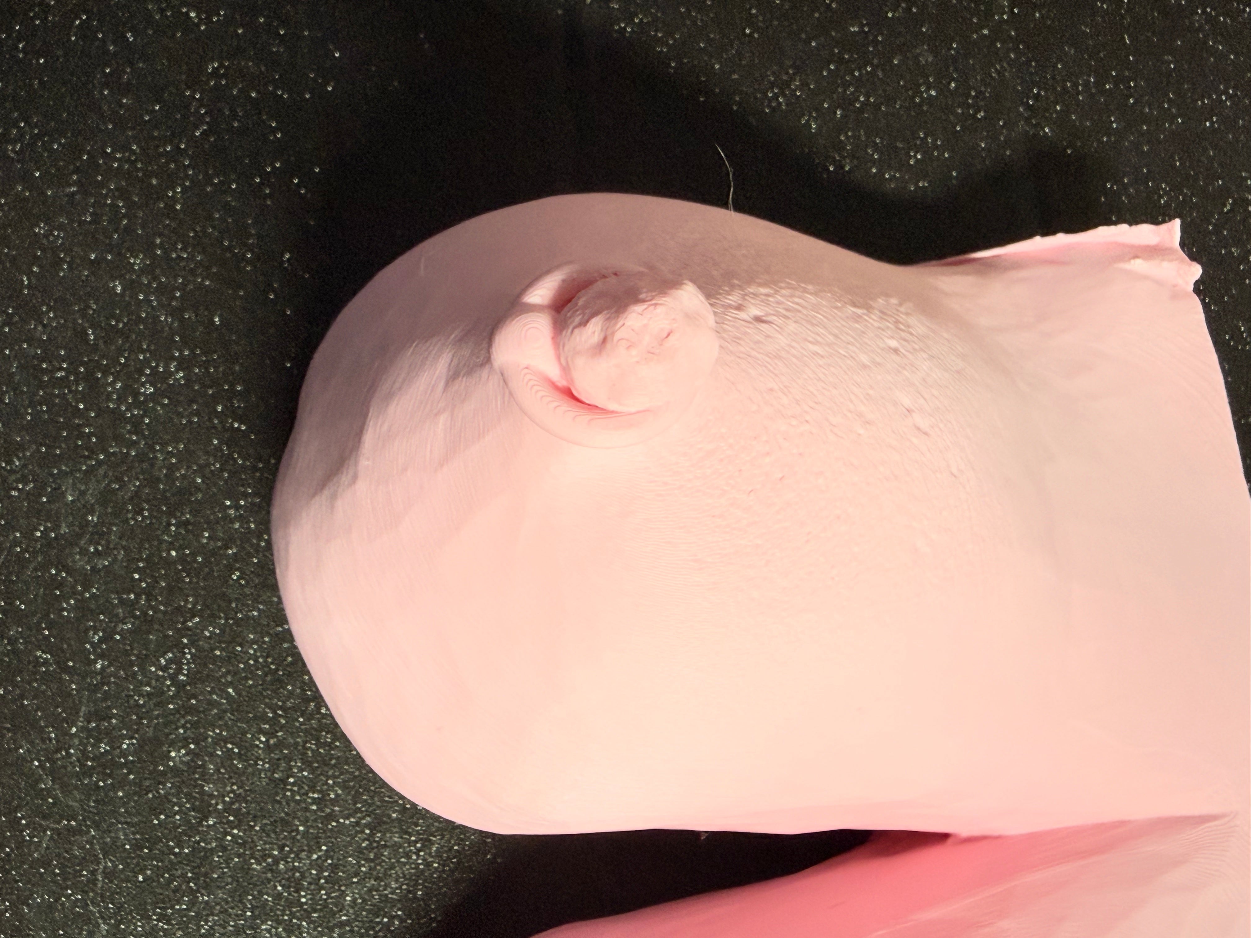 Wall Sculpture | Pierced Body Art | Unique Body Art | Discreet Packaging