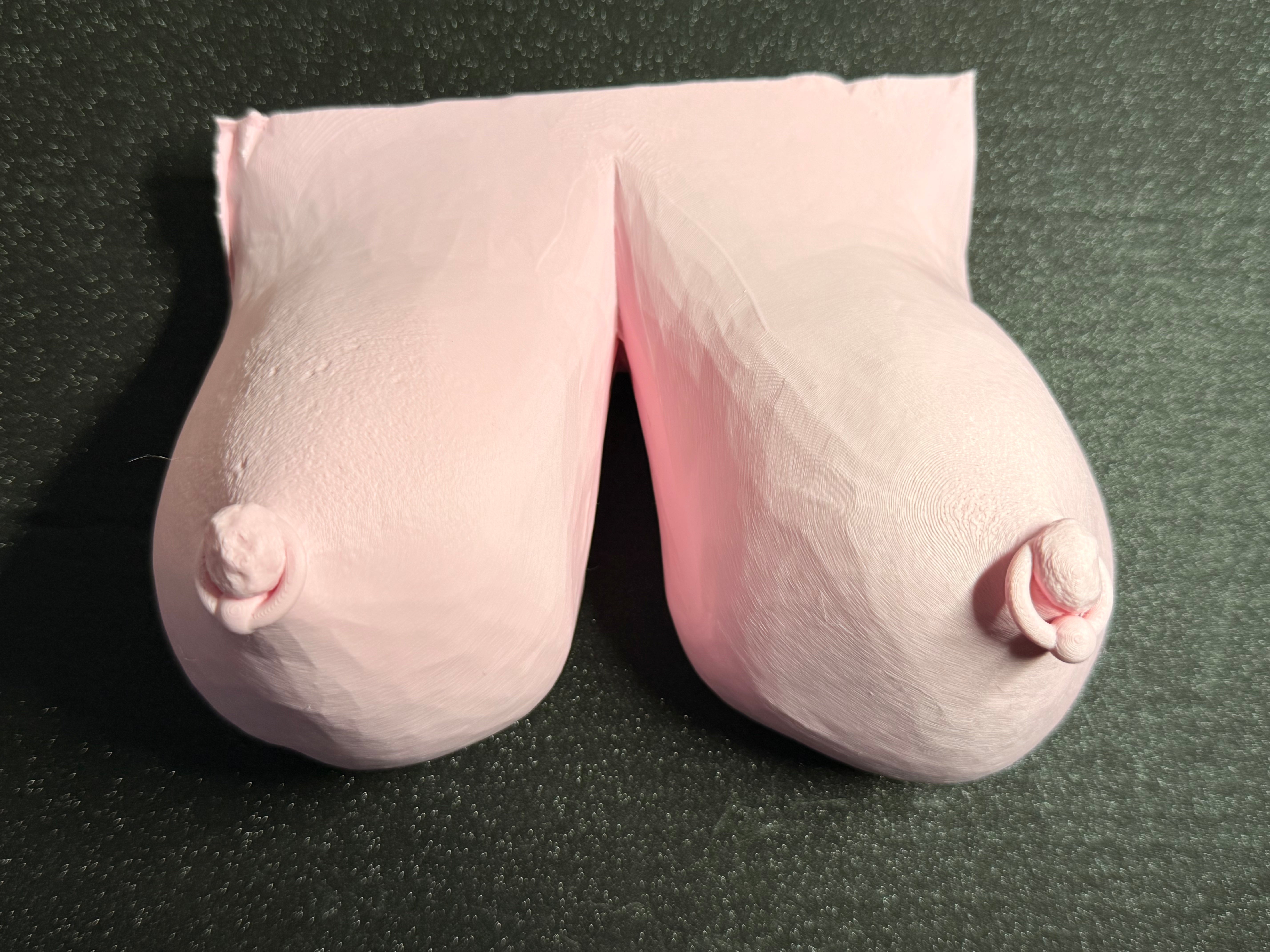 Wall Sculpture | Pierced Body Art | Unique Body Art | Discreet Packaging