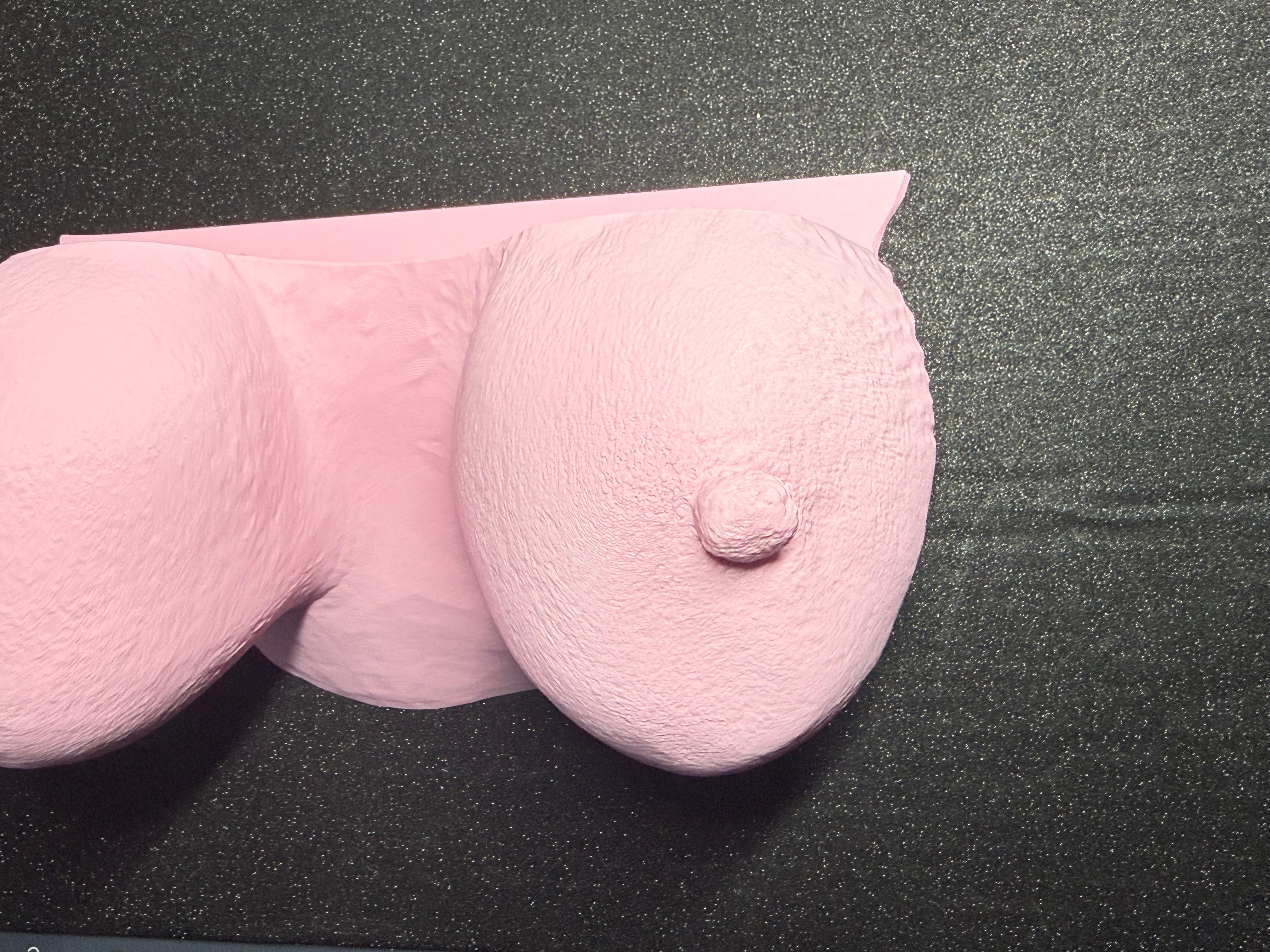 C-Kret Boob Shelf |Feminine Wall Shelf Decor for Perfume, Jewelry & Vanity Display | Discreet Packaging