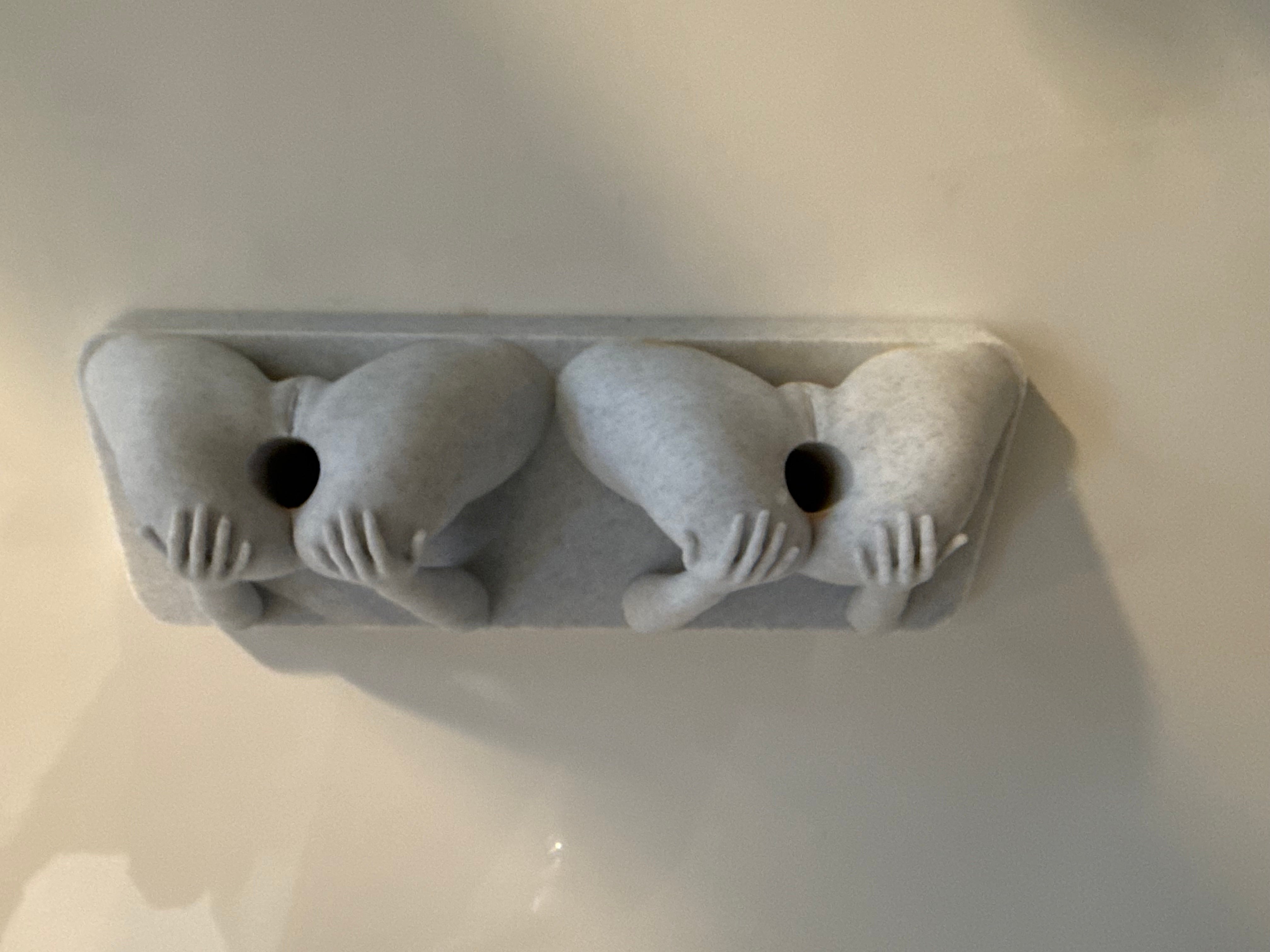 Cheeky Wall Key Holder & Bath Sponge Rack | 3D Printed Bathroom Humor Decor | Bold Adult Home Accent | Discreet Packaging
