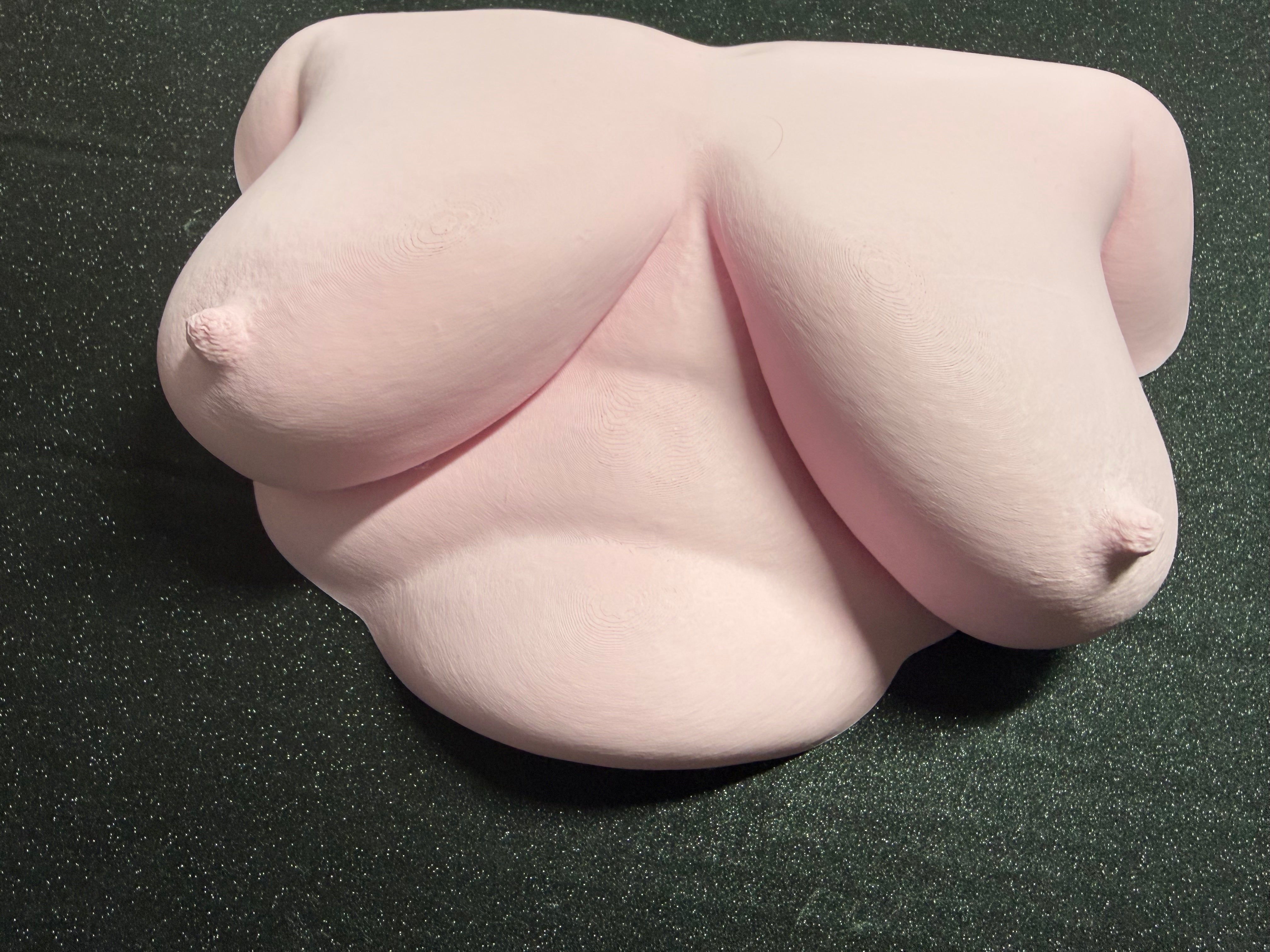 Body Form Wall Sculpture | 3D Printed Feminine Art | Body-Positive Decor | Discreet Packaging