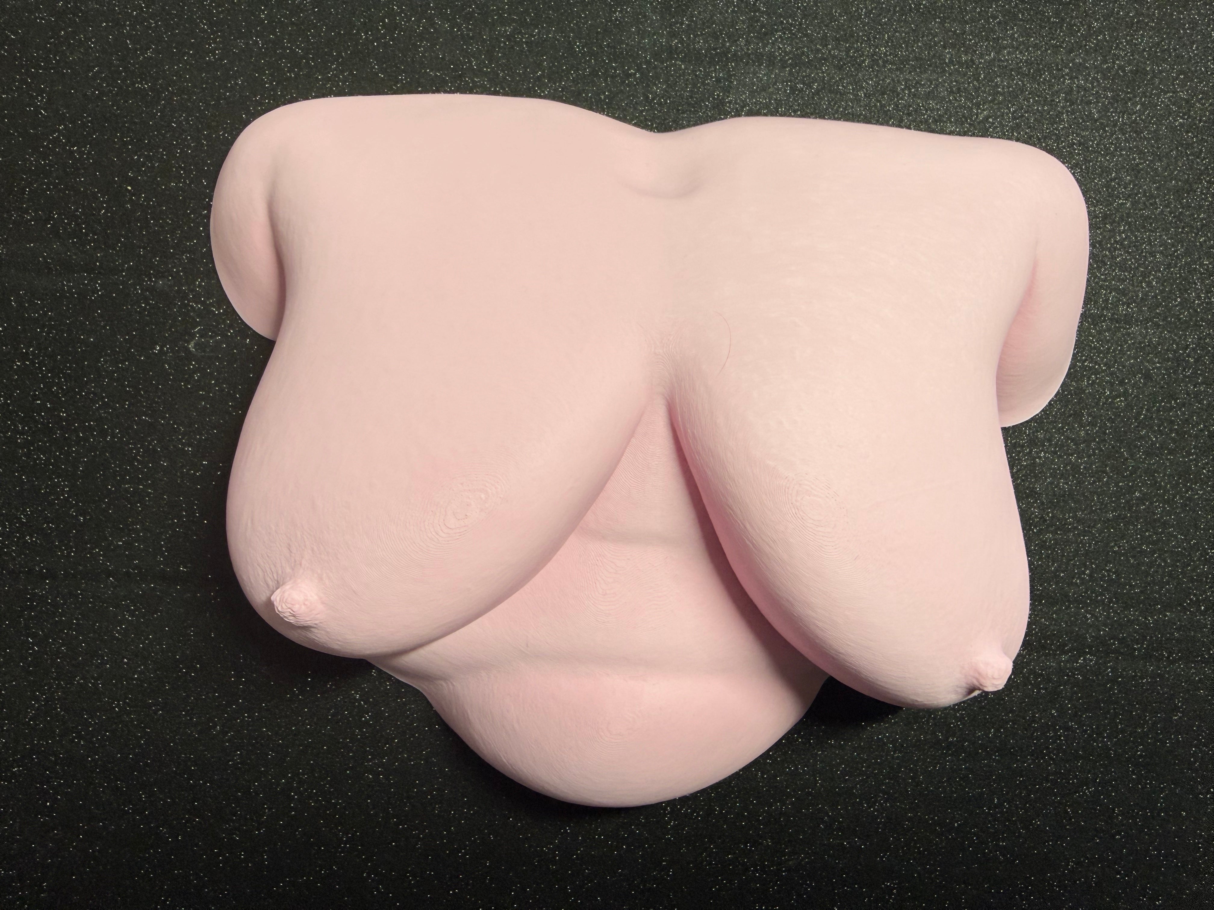 Body Form Wall Sculpture | 3D Printed Feminine Art | Body-Positive Decor | Discreet Packaging