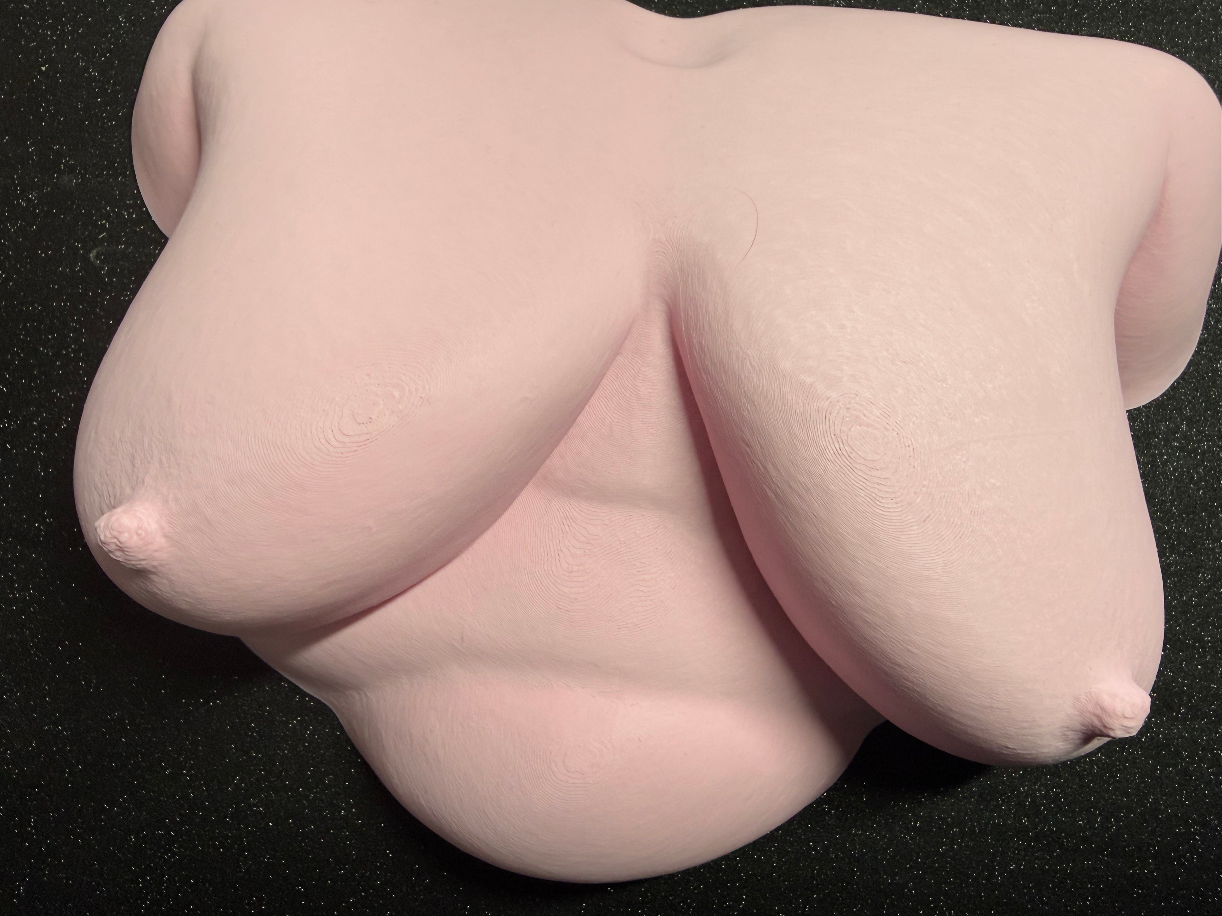 Body Form Wall Sculpture | 3D Printed Feminine Art | Body-Positive Decor | Discreet Packaging