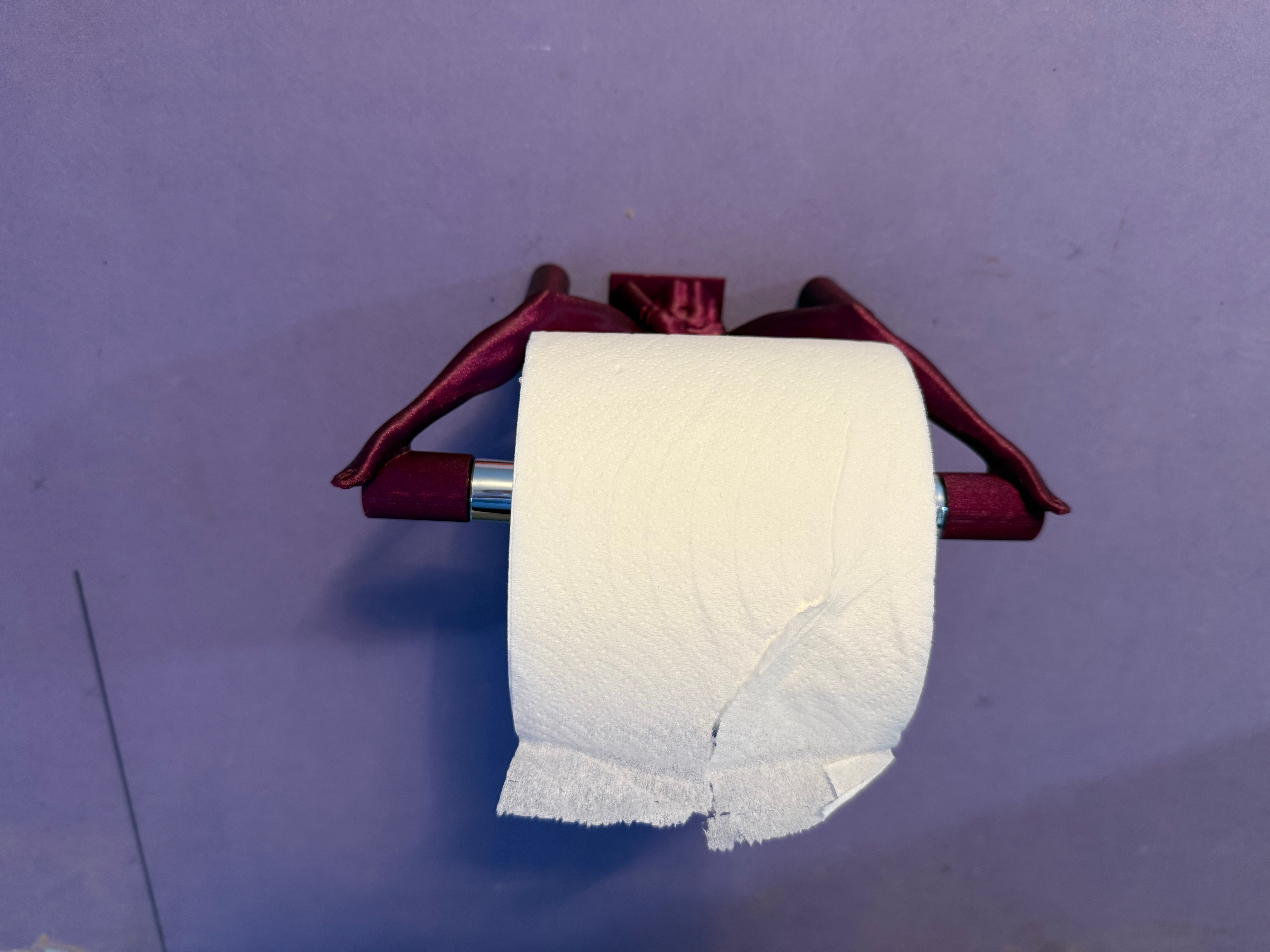 Sexy Lady Toilet Paper Holder | Functional Art for the Bold Bathroom | Unique Wall Mount Gag Gift | Discreet Packaging