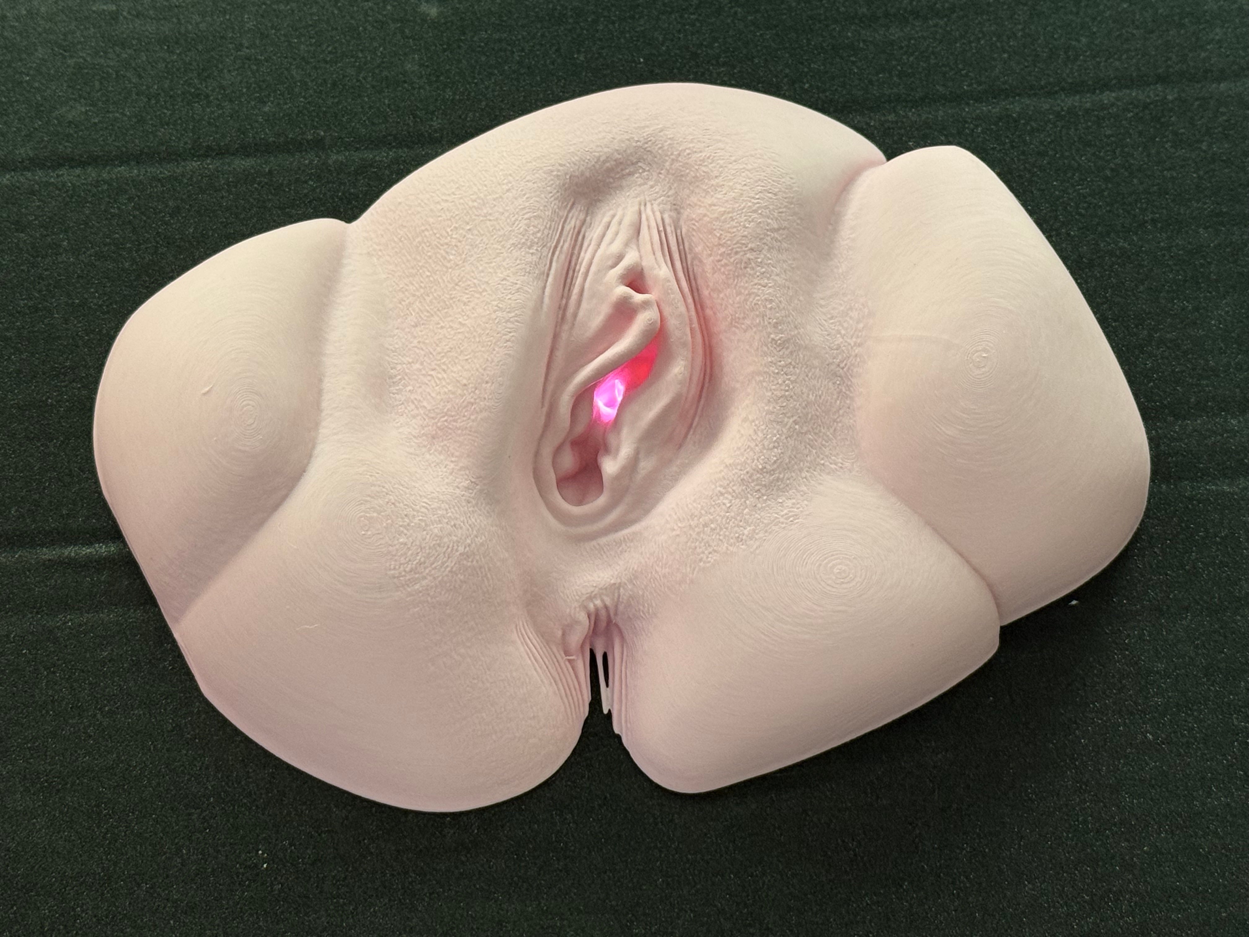 Vagina Night Light | Erotic Sculpture Lamp | Adult Humor Decor | Unique Bedroom Lighting | Discreet Packaging