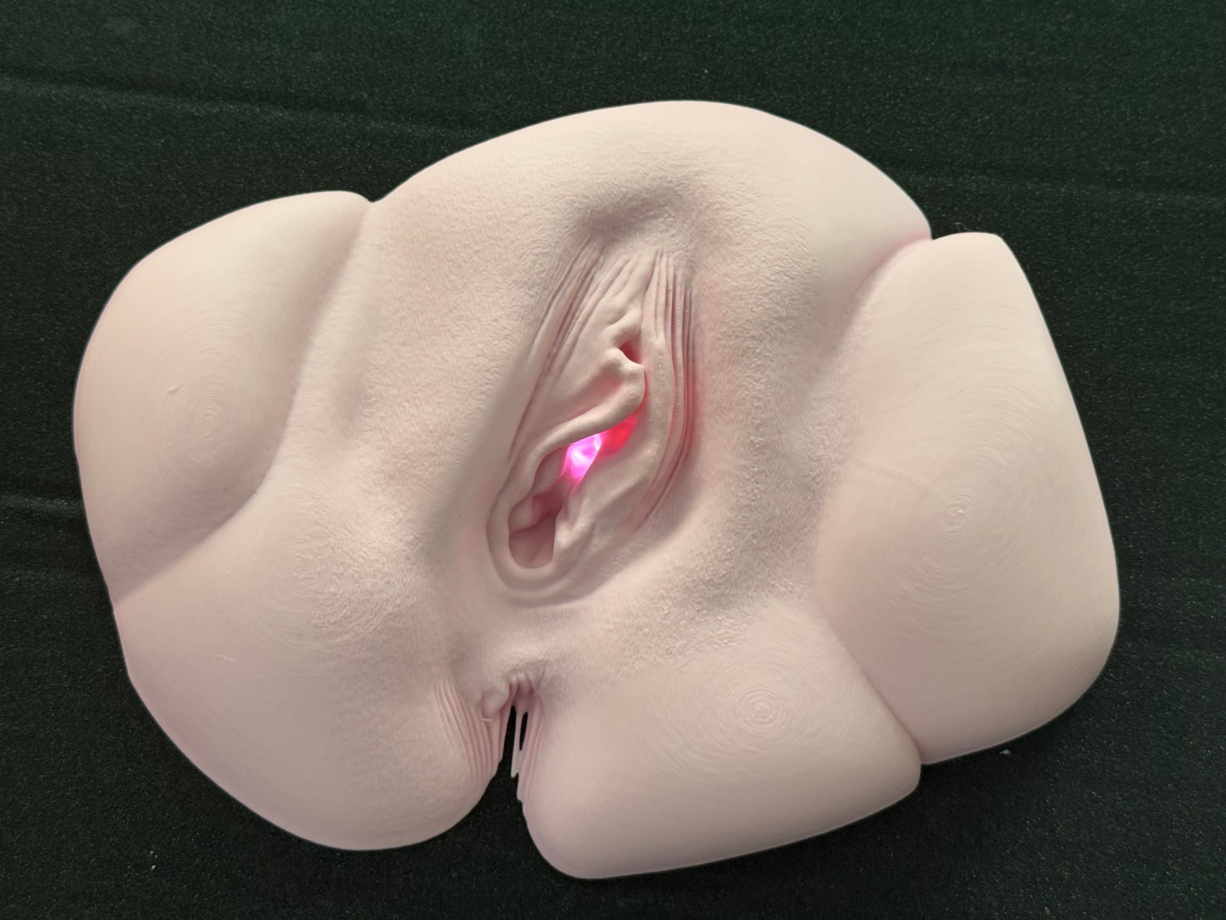 Vagina Night Light | Erotic Sculpture Lamp | Adult Humor Decor | Unique Bedroom Lighting | Discreet Packaging
