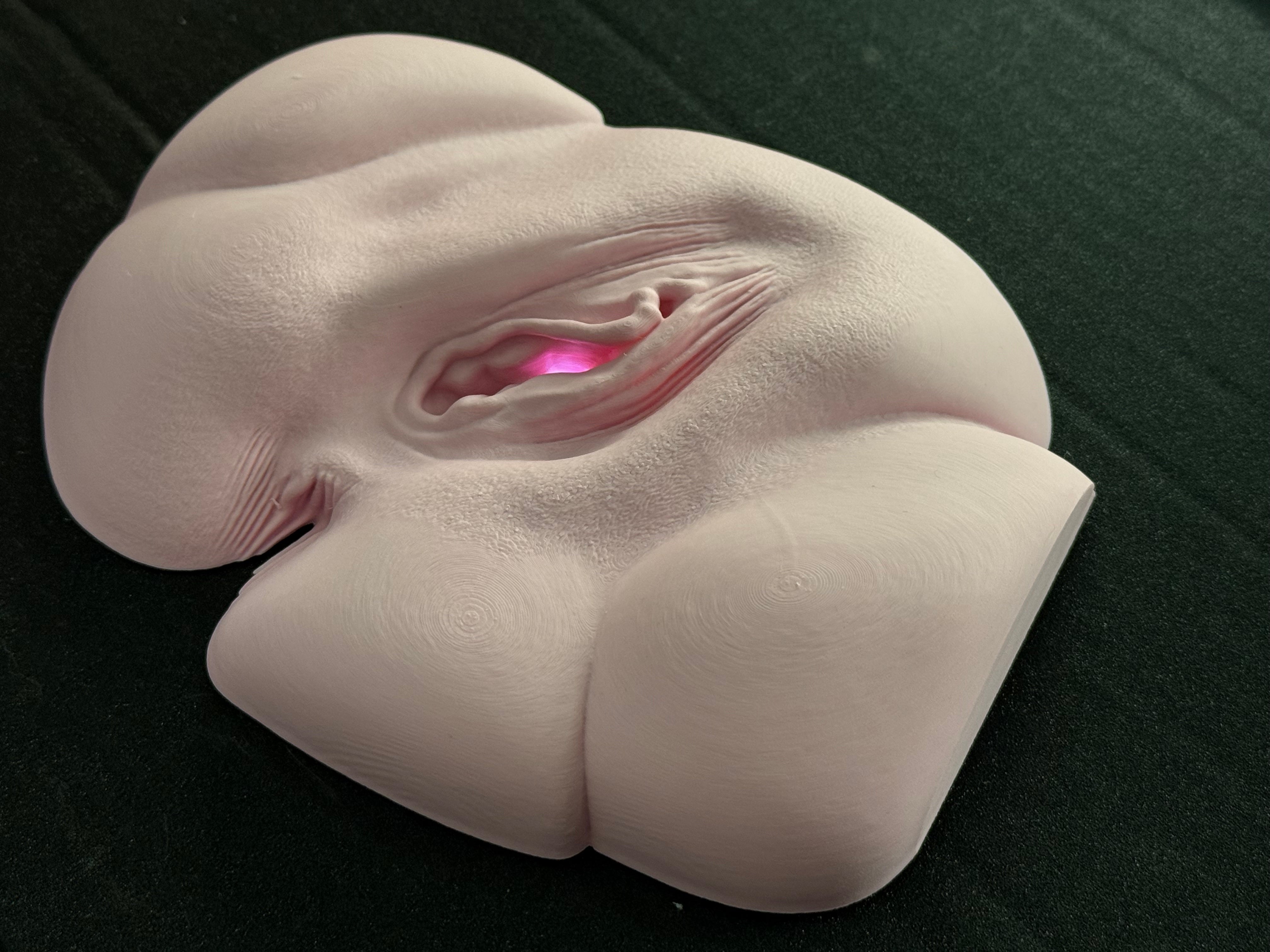 Vagina Night Light | Erotic Sculpture Lamp | Adult Humor Decor | Unique Bedroom Lighting | Discreet Packaging