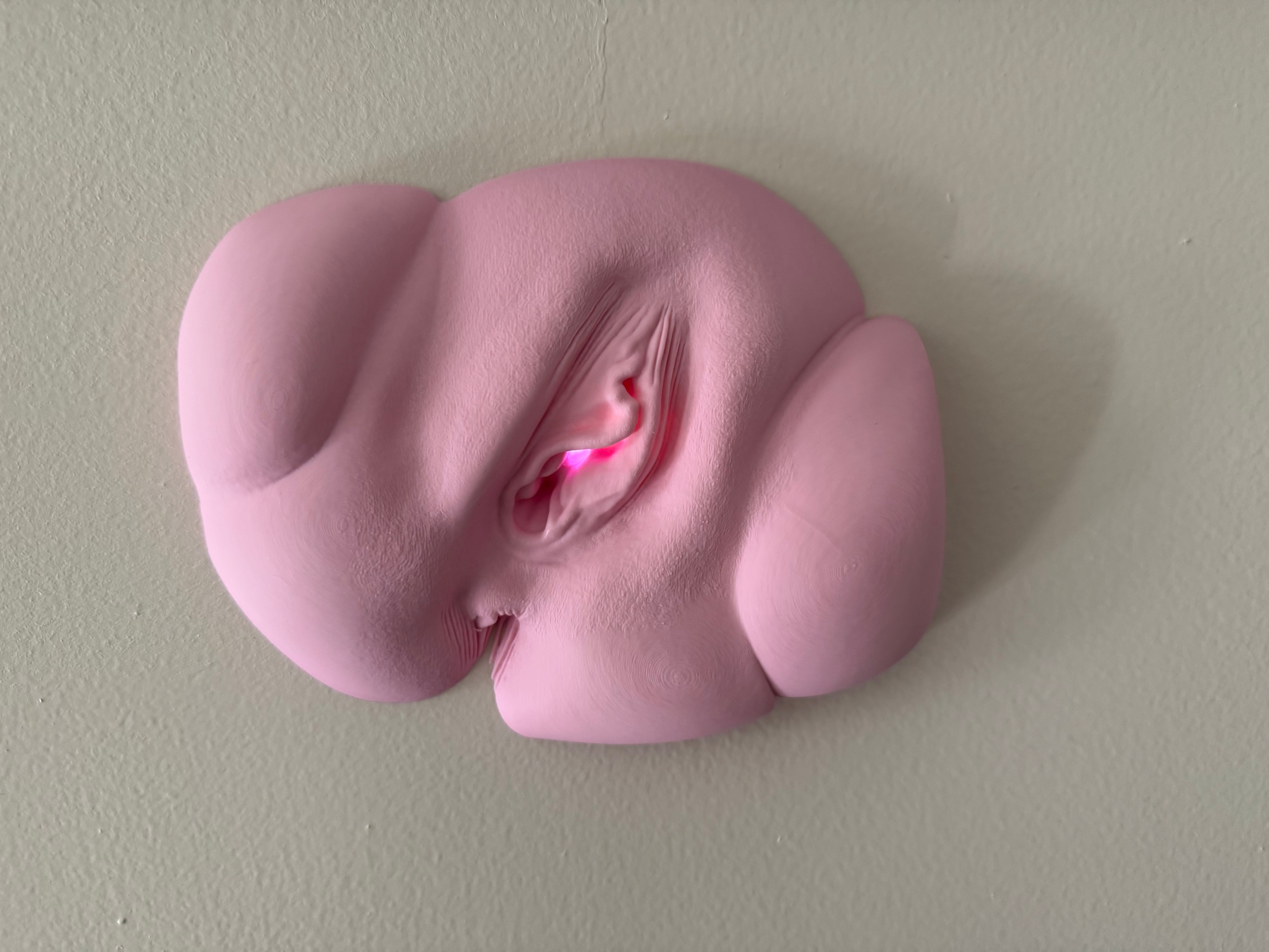 Vagina Night Light | Erotic Sculpture Lamp | Adult Humor Decor | Unique Bedroom Lighting | Discreet Packaging