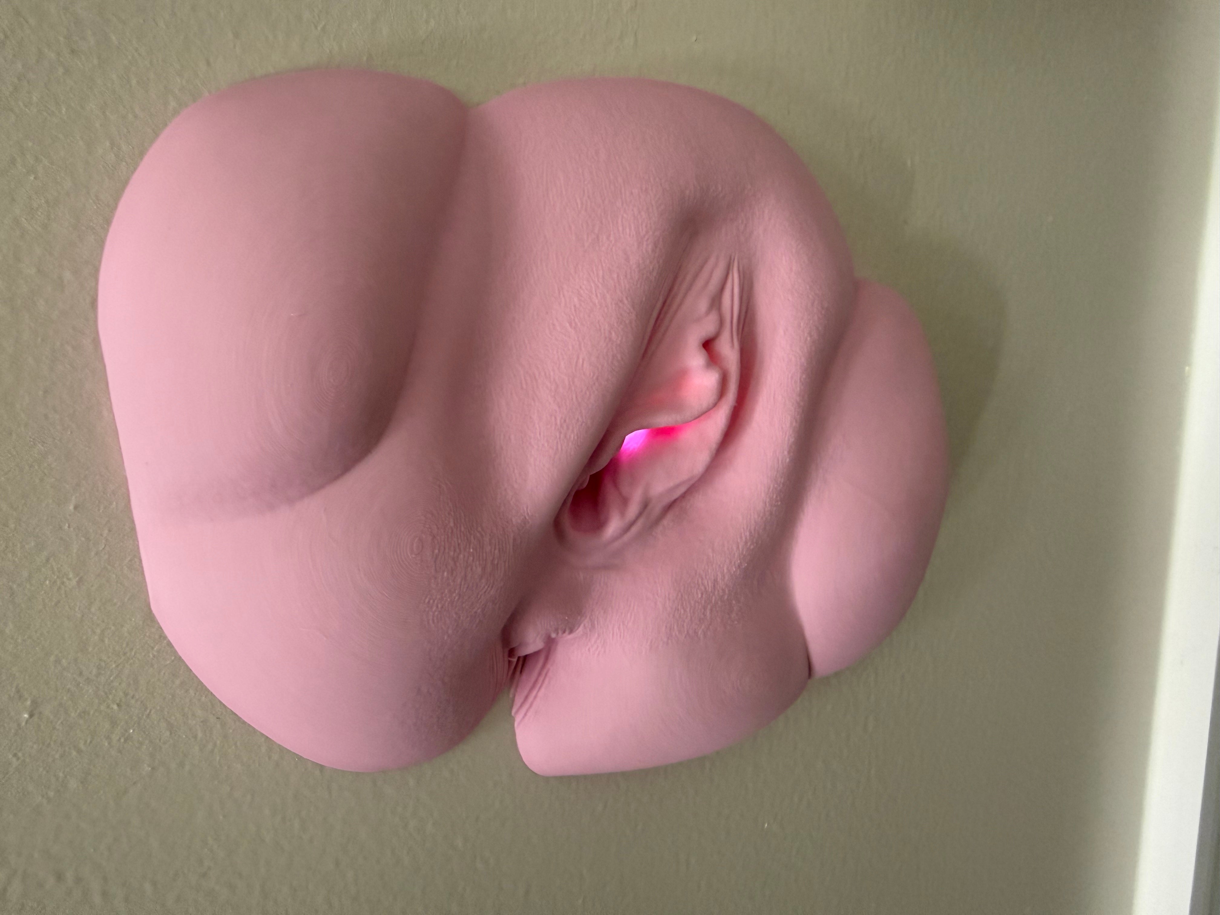 Vagina Night Light | Erotic Sculpture Lamp | Adult Humor Decor | Unique Bedroom Lighting | Discreet Packaging