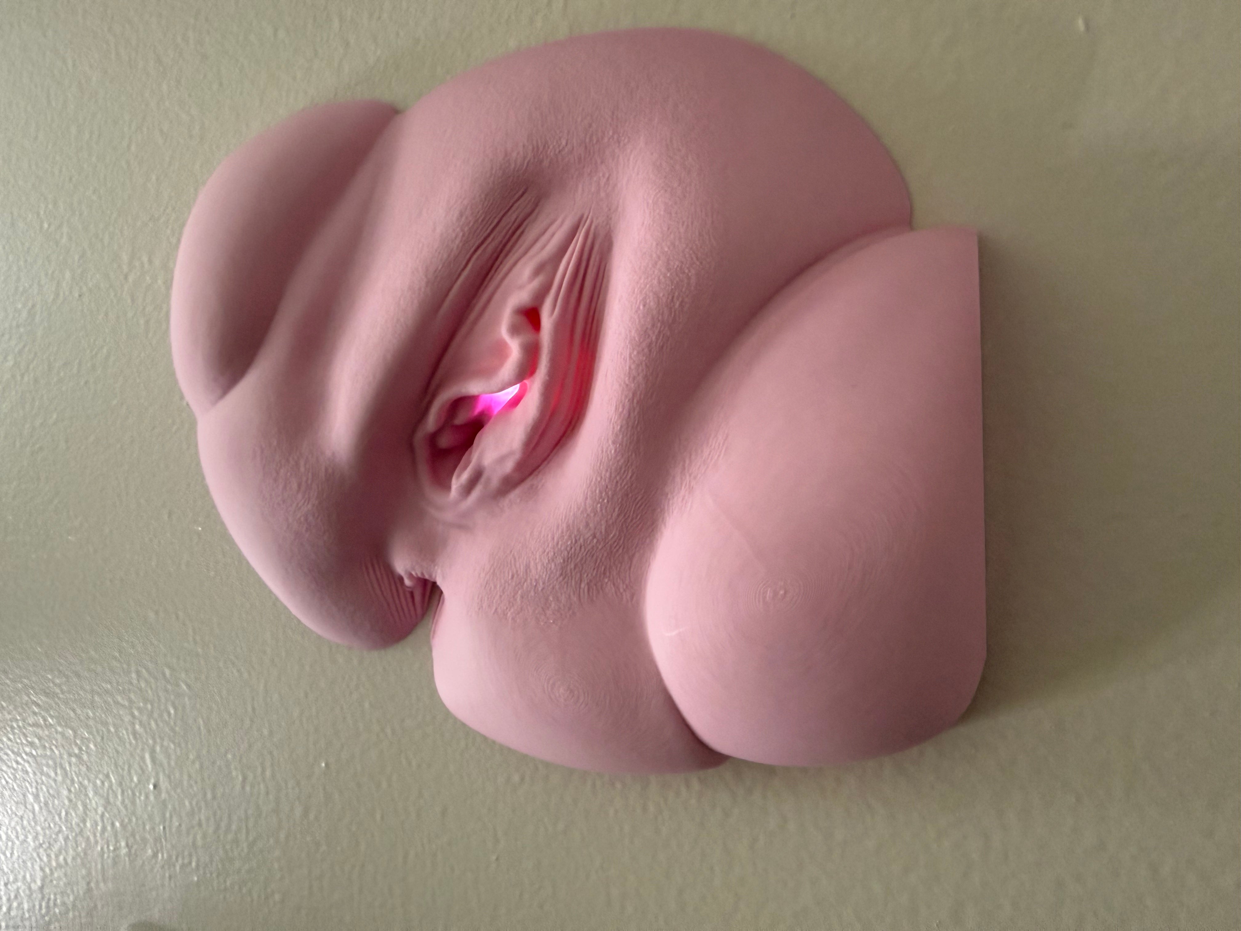 Vagina Night Light | Erotic Sculpture Lamp | Adult Humor Decor | Unique Bedroom Lighting | Discreet Packaging