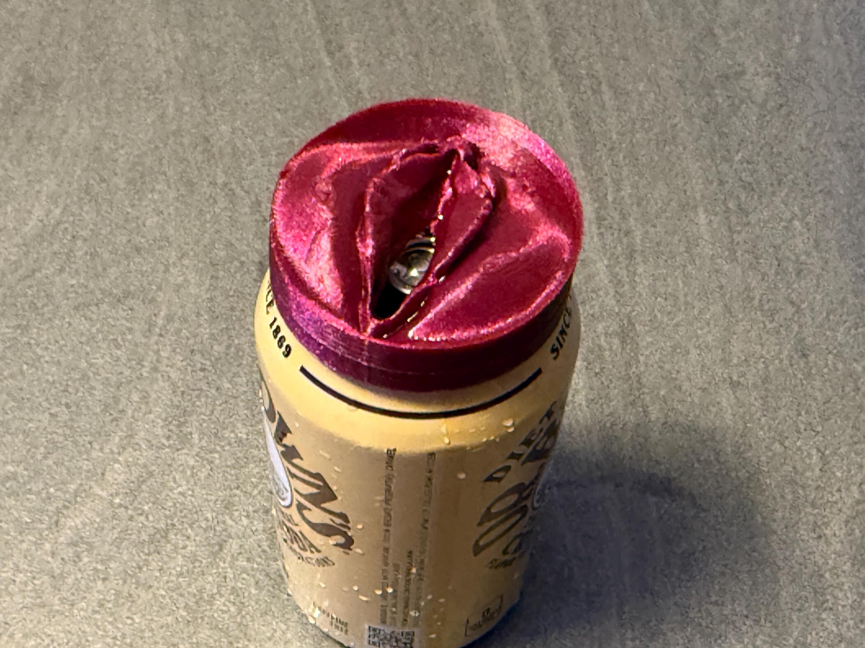 3D Printed Feminine Shape Can Cover | Fun Novelty Drink Topper | Discreet Packaging