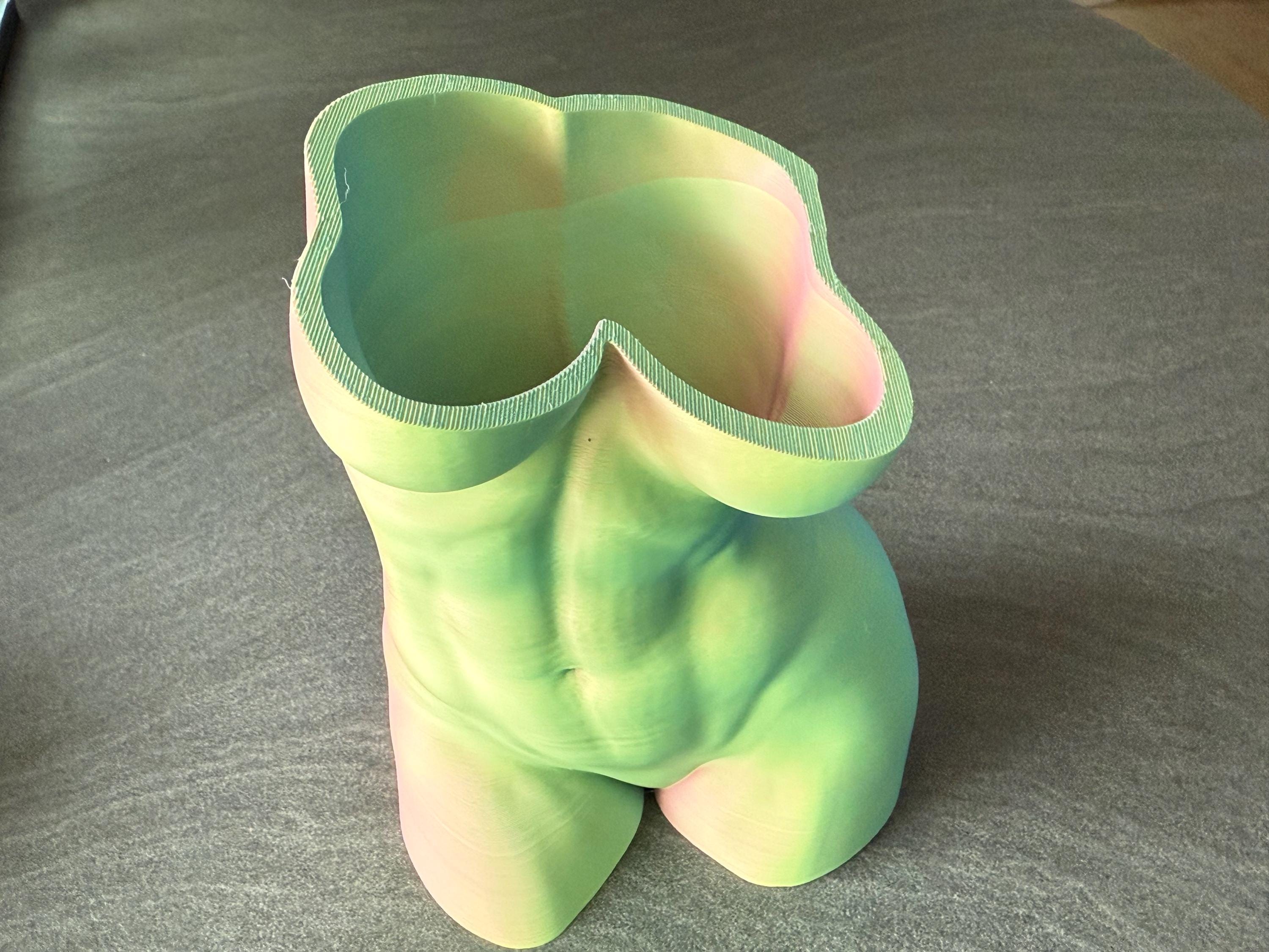 Modern Torso Planter | Body Vase for Succulents or Cacti | Artistic Home Decor | Discreet Packaging