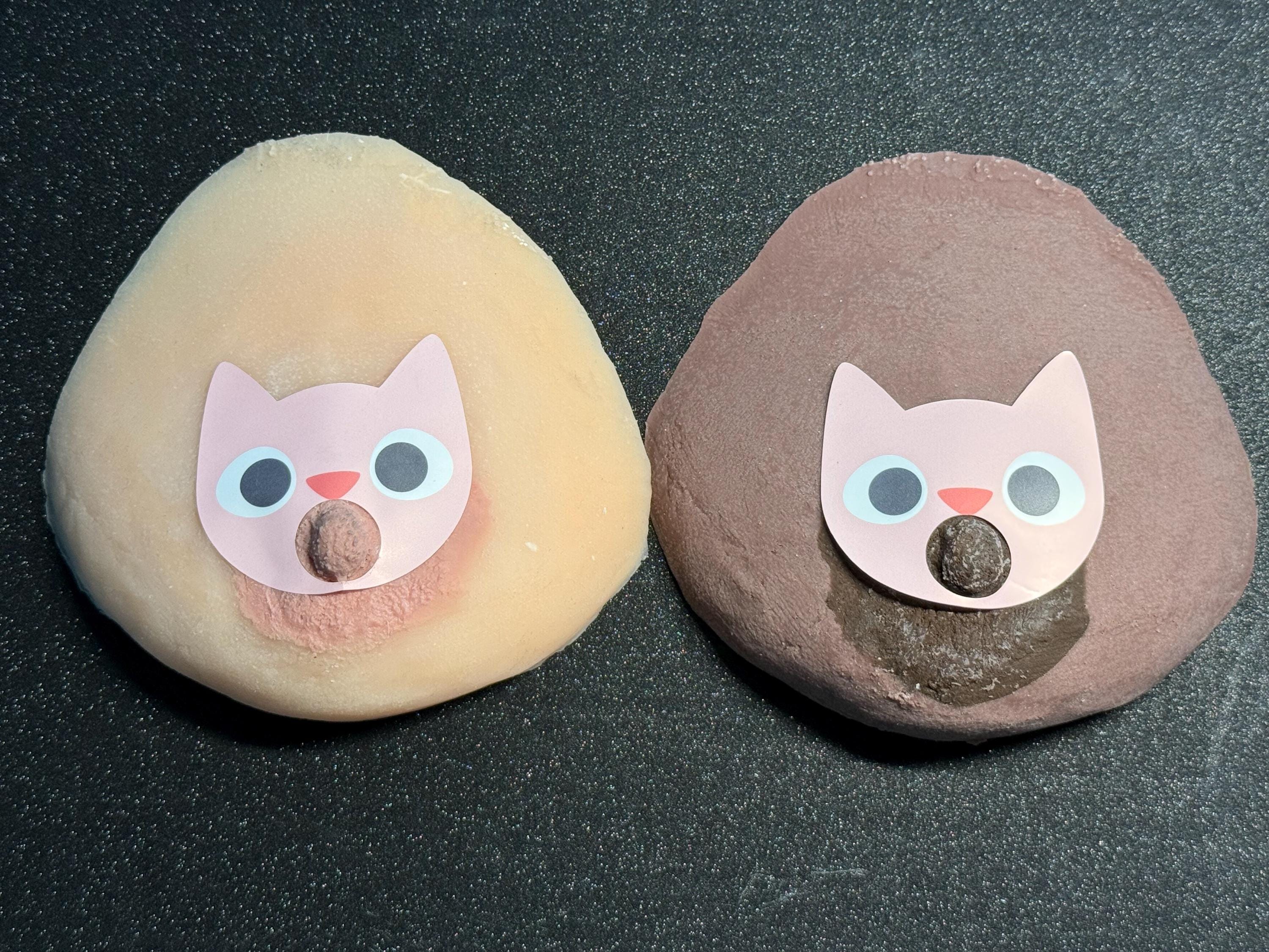Playful Cat Pasties | Medical Grade Adhesive | Latex-Free | Made to Order | Discreet Packaging