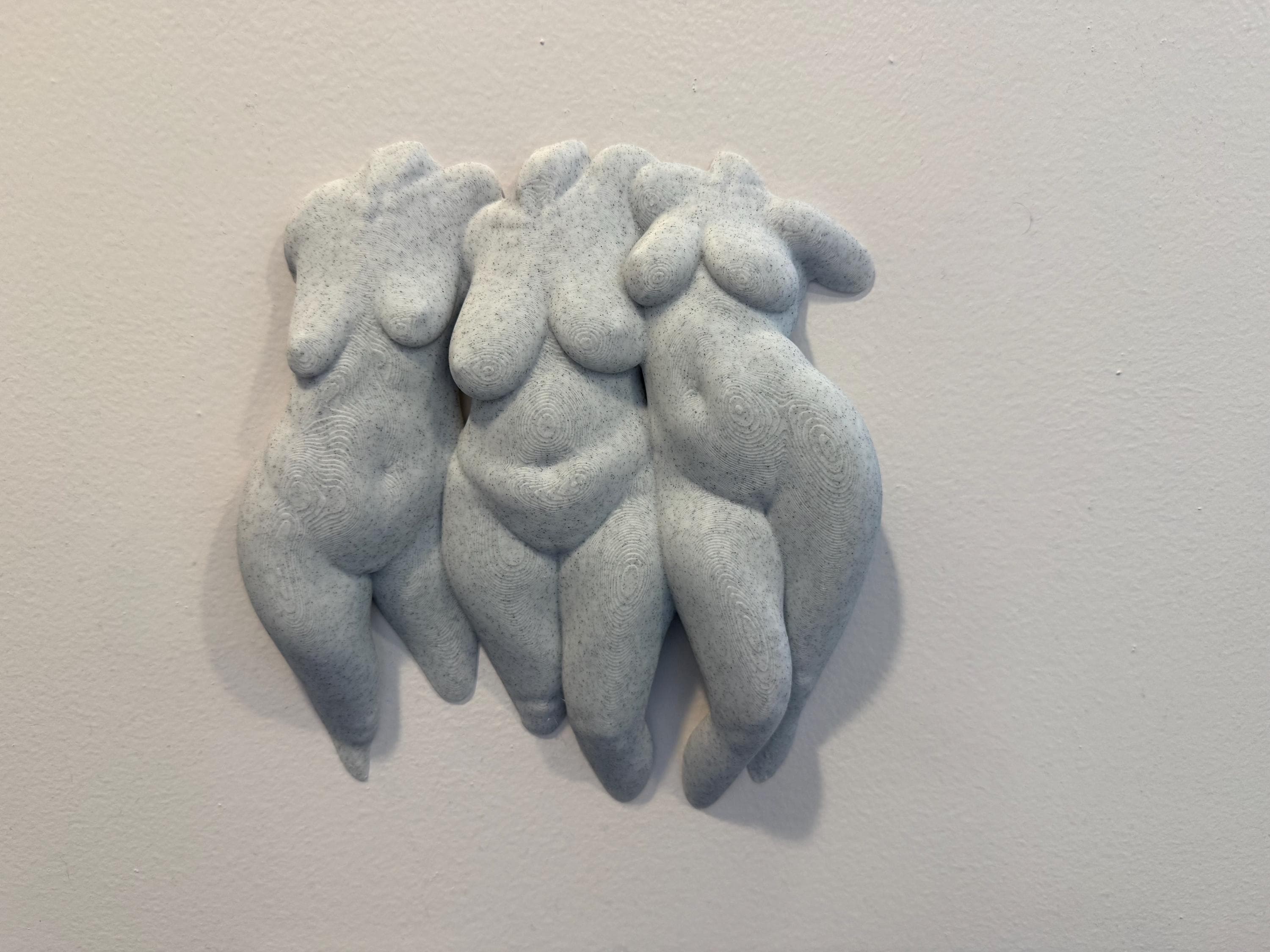 Abstract Body Sculpture | Modern Feminine Wall Art | Discreet Packaging