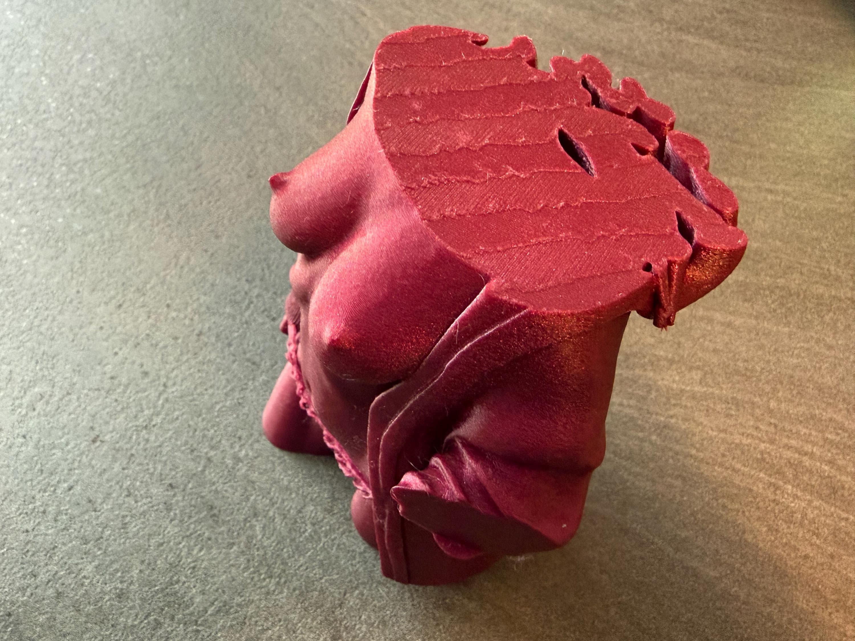 Modern Female Torso Sculpture | 3D Printed Body Form Art | Discreet Packaging